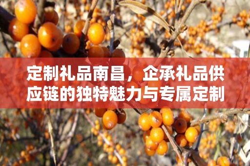 定制礼品南昌，企承礼品供应链的独特魅力与专属定制之旅